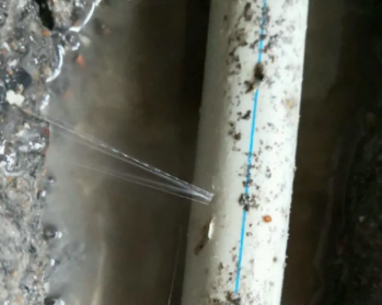 个旧卫生间测漏水多少钱